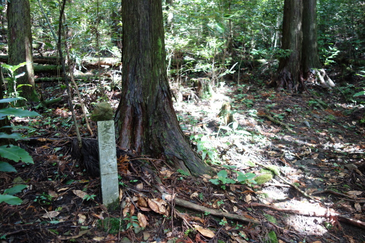 矢部村山系八名山①(文字岳)_d0345153_20463940.jpg