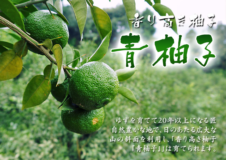 香り高き柚子(ゆず) 『青柚子』大好評発売中!数量限定のため残りわずか!ご注文はお急ぎください!_a0254656_17422864.jpg
