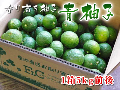 香り高き柚子(ゆず) 『青柚子』大好評発売中!数量限定のため残りわずか!ご注文はお急ぎください!_a0254656_1955218.jpg