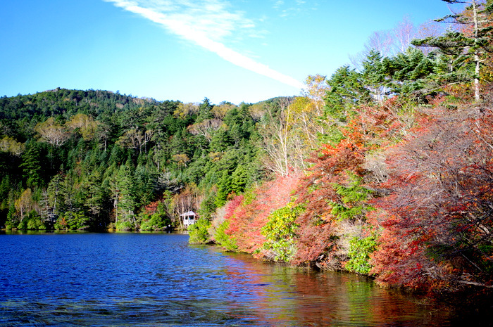 白駒池の紅葉_e0256058_13115254.jpg