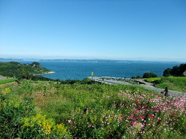 c0055363_21355334.jpg