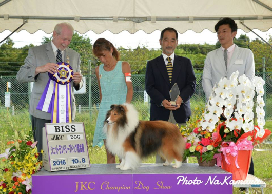JKC 大阪部会展 パート1_f0126965_16053490.jpg