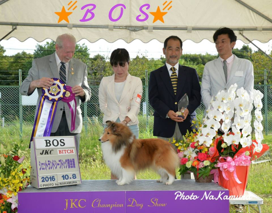 JKC 大阪部会展 パート1_f0126965_16053534.jpg