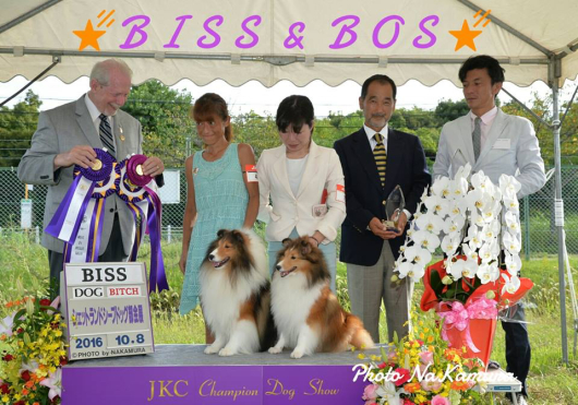 JKC 大阪部会展 パート1_f0126965_16053660.jpg