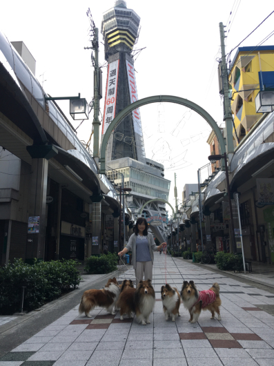 JKC大阪部会展パート2_f0126965_16175722.jpg