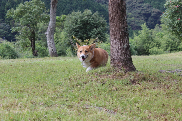 やっと晴れたよ。_f0296165_20122117.jpg