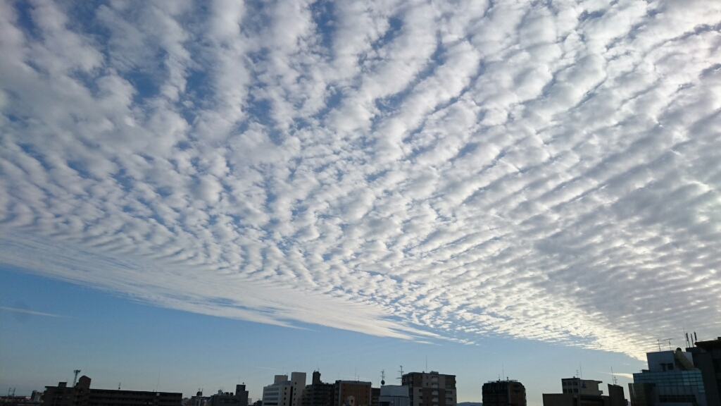 f0146466_00093984.jpg