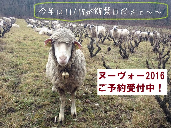 ヌーヴォー2016ご予約はじまりました!_b0016474_15312748.jpg
