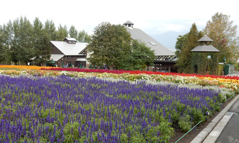 f0083977_7152857.jpg
