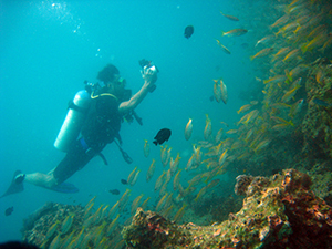 ピピ島+ドクマイ島☆_f0144385_20104979.jpg