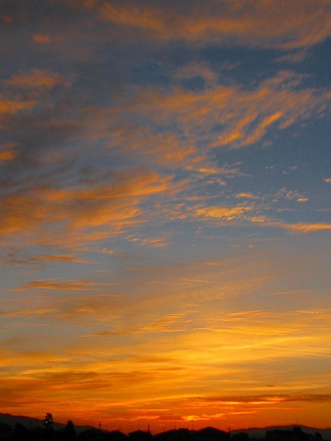 f0181394_15564482.jpg