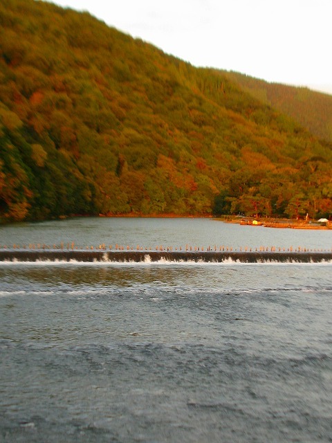 f0181394_15570255.jpg