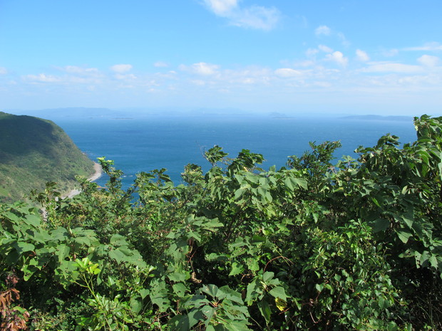 a0166196_17503075.jpg