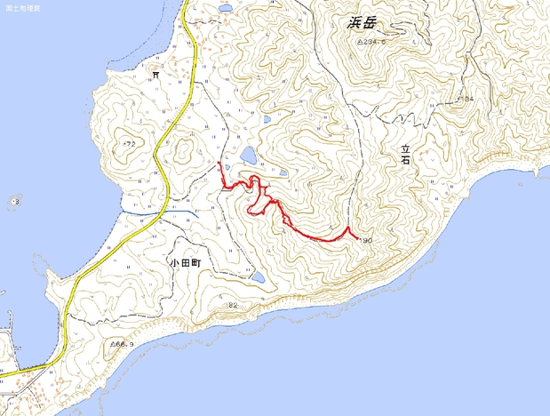 a0166196_1753408.jpg