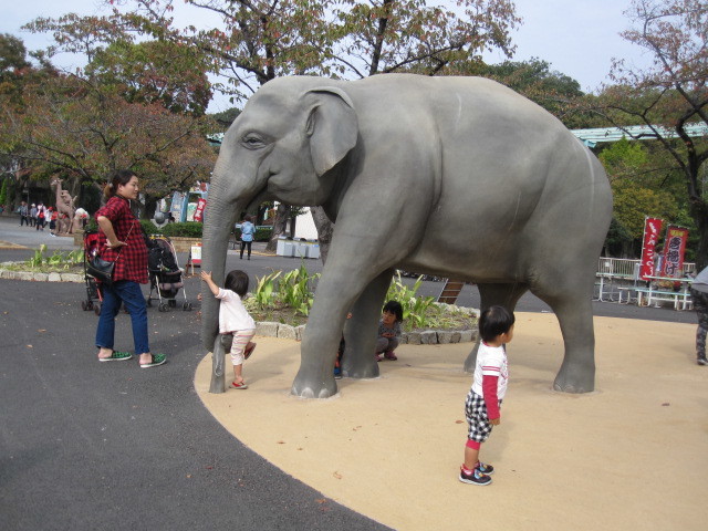 秋の動物園_a0145798_20284261.jpg