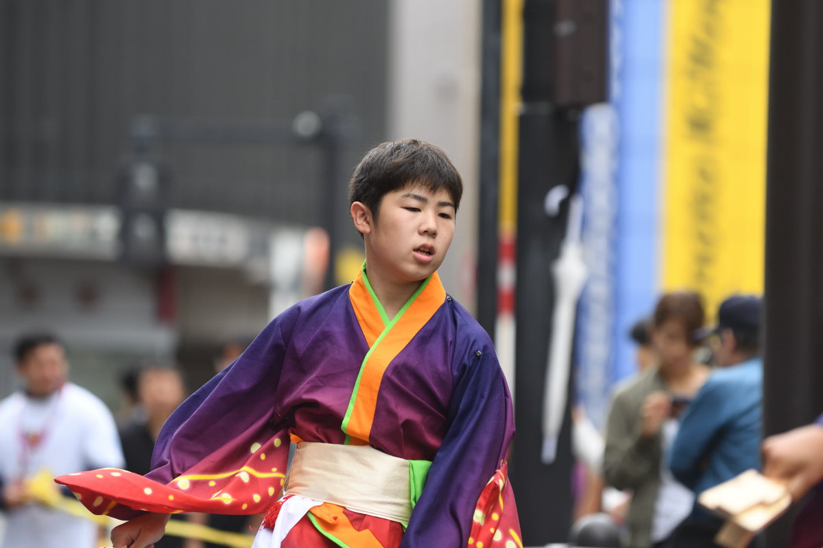 東京よさこい『にらさき秀麗』_f0184198_3263311.jpg