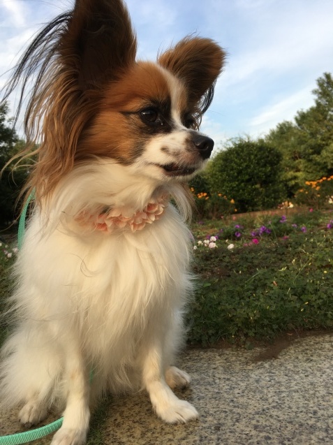 f0034602_20153874.jpeg