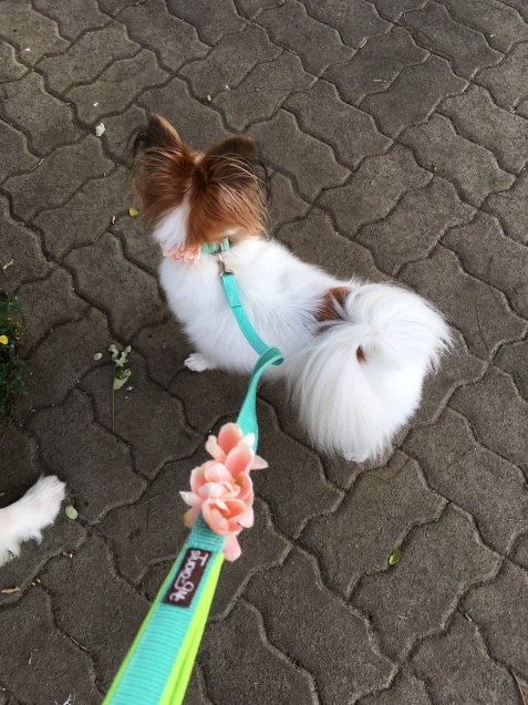 f0034602_20163317.jpeg
