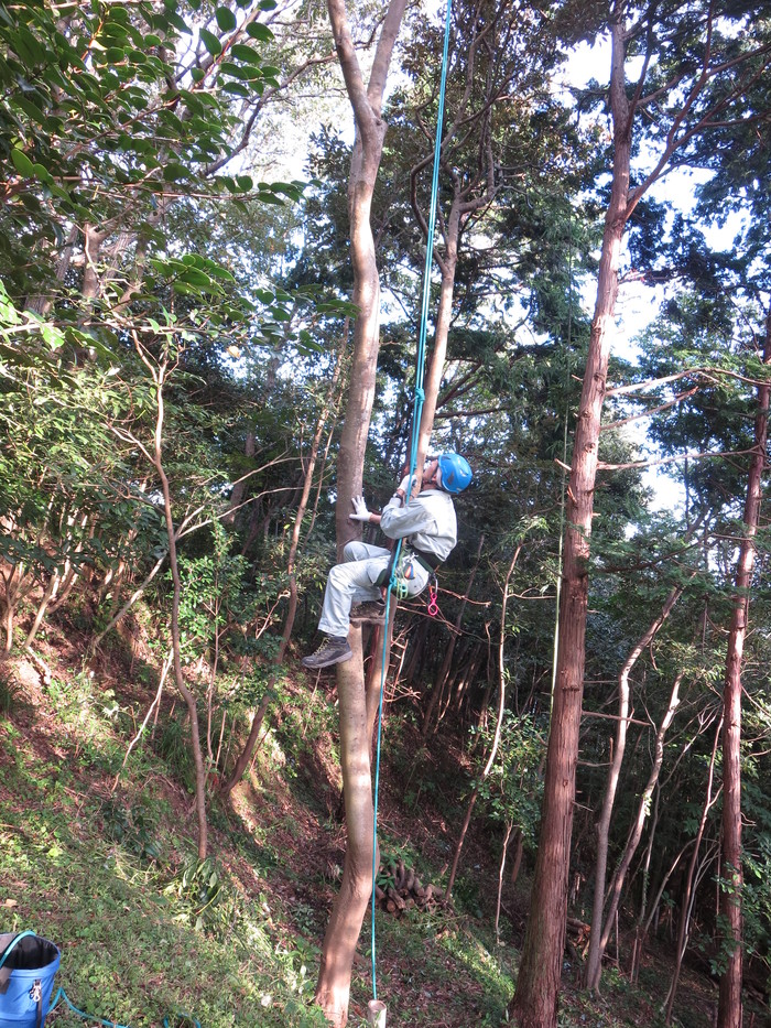 e0271803_823522.jpg
