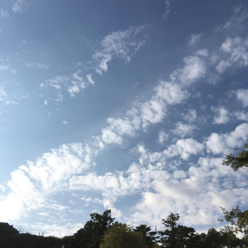 f0356611_16224767.jpg
