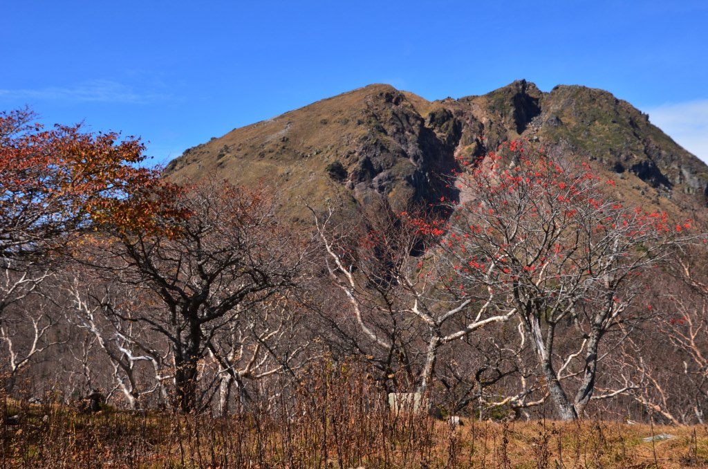 2016/10/10 日光白根山～前白根（菅沼から）_a0340812_09262213.jpg