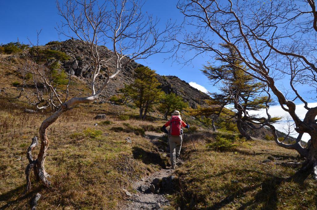 2016/10/10 日光白根山～前白根（菅沼から）_a0340812_09311589.jpg