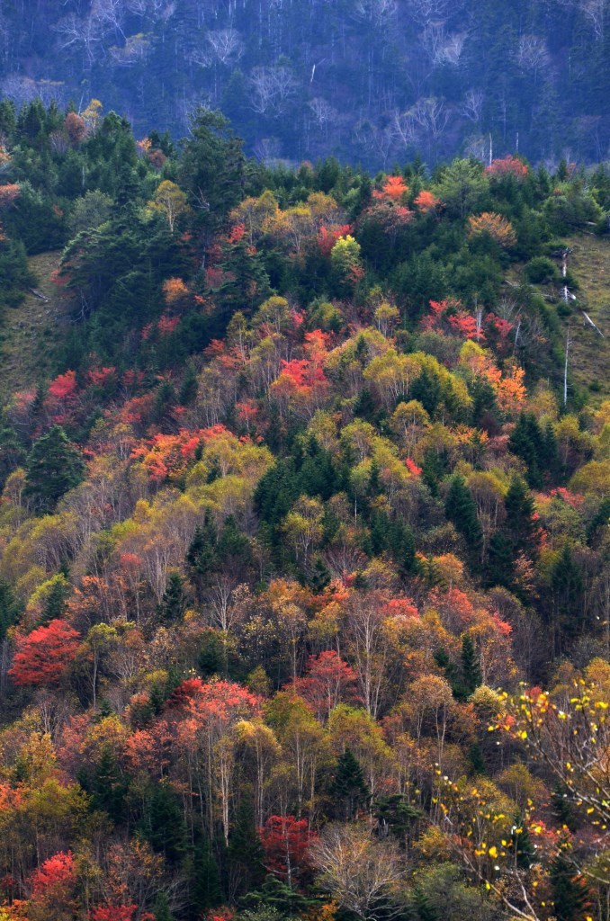 2016/10/10 日光白根山～前白根（菅沼から）_a0340812_09352472.jpg