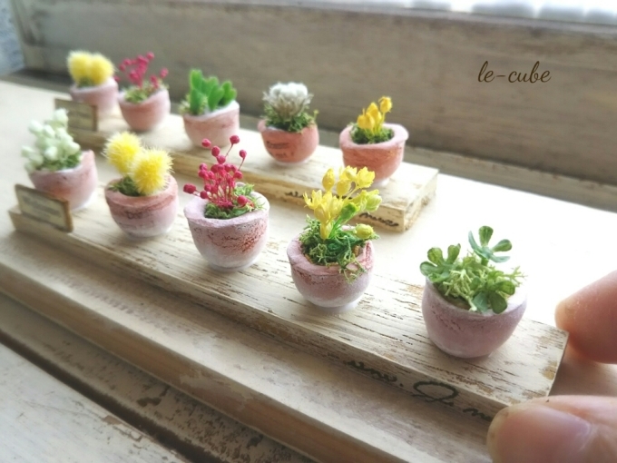 ミニチュア鉢植え 手作り雑貨 観葉植物 Kinomi ミニチュア鉢植え 手作り雑貨 観葉植物 Kinomi