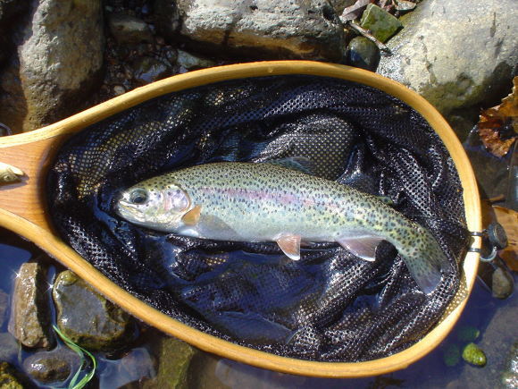 f0280717_13424088.jpg