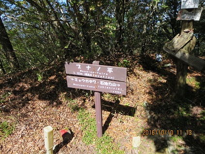 a0048823_1719967.jpg