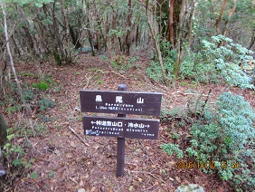 a0048823_17305975.jpg