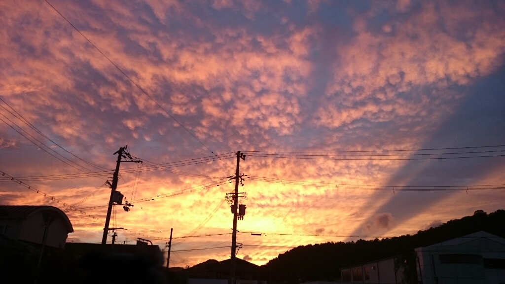 e0263224_00125076.jpg