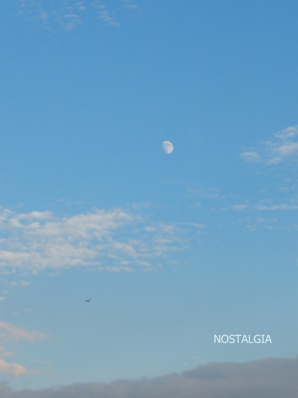 e0255927_21544158.jpg