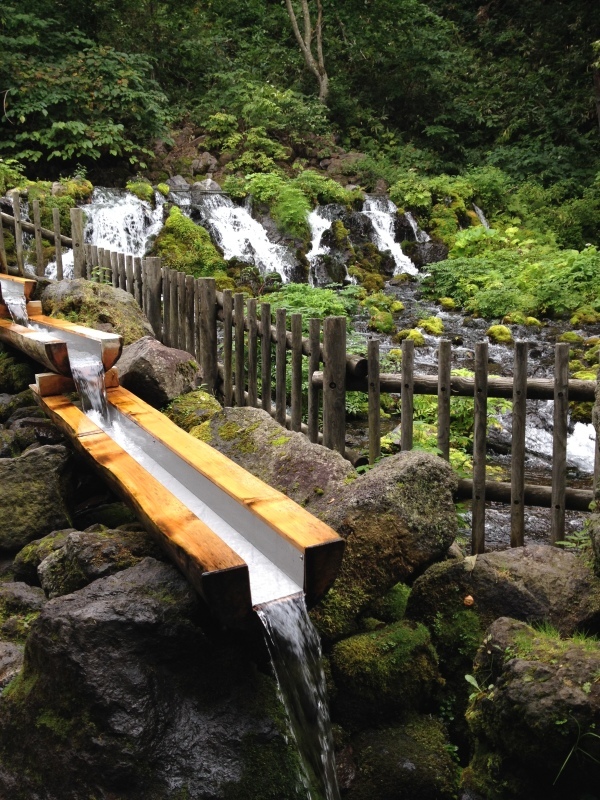 北海道で羊蹄山の湧き水やらニセコやらジンギスカンやら☆Spring water in Niseko, Hokkaido_f0371533_00044998.jpg