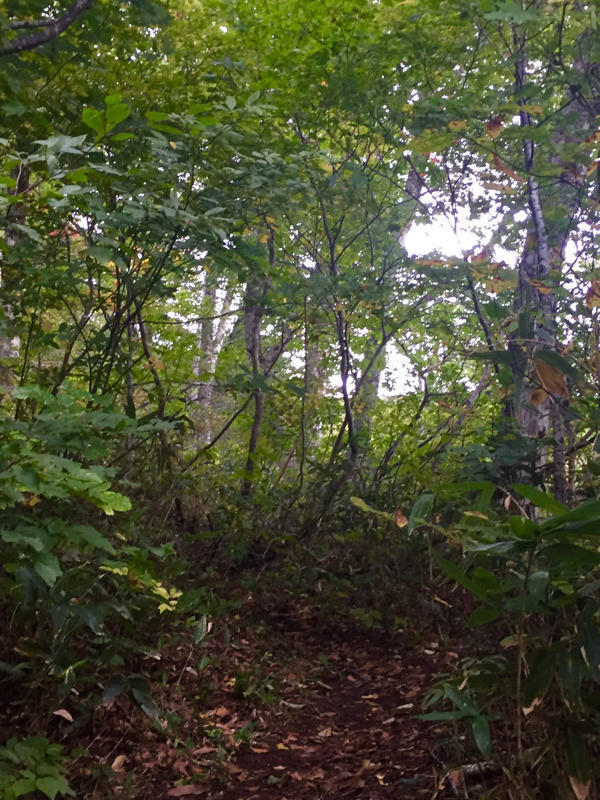 c0225536_05315145.jpg