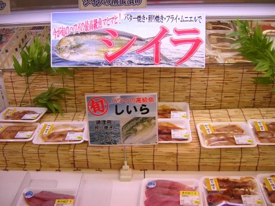 マヒマヒを食す 10 14 ブライダル司会者 恋塚です