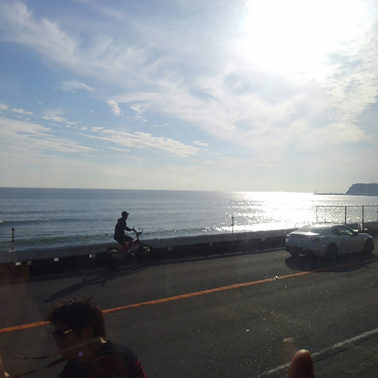 パンダ 大好きな江ノ電乗車中 海 江ノ島 思わず指先確認 山田パンダ日和