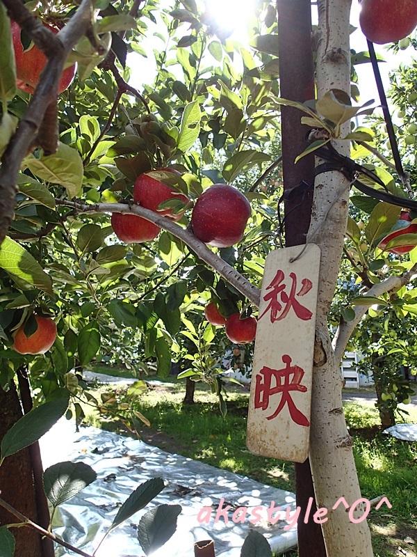 b0321359_16595006.jpg