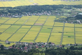 b0218664_92751.jpg