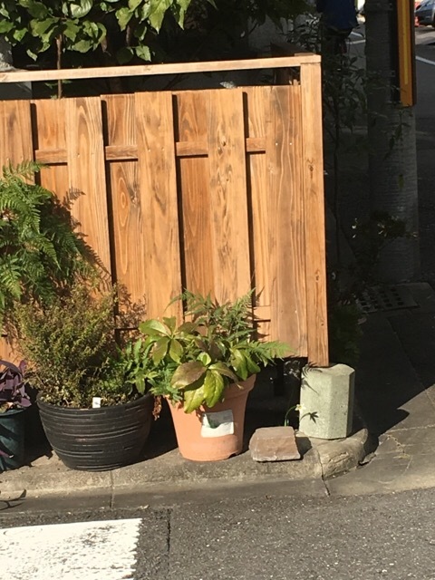 小さな感動_f0363168_08451591.jpeg