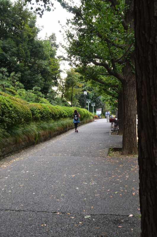 紀尾井町から迎賓館までブラ散歩_b0338976_20224557.jpg