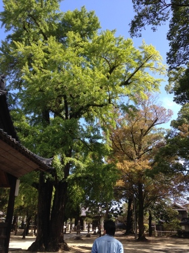 f0315081_22232316.jpg