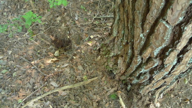 c0212083_18451591.jpg