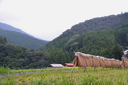 c0229483_2254567.jpg