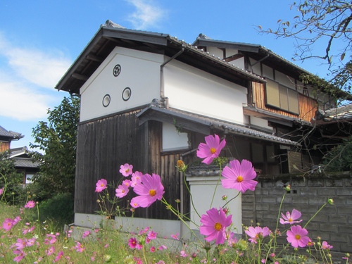 サイクリング日和に秋探し（十万辻〜青野ダム）_a0251786_20194858.jpg