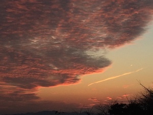 b0139996_20362336.jpg