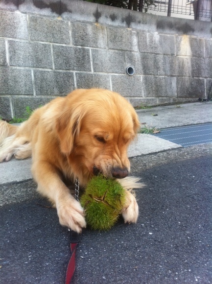 b0275998_09362118.jpeg
