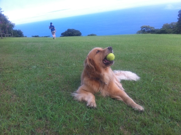 b0275998_09420726.jpeg