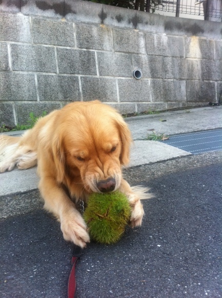 b0275998_09504097.jpeg