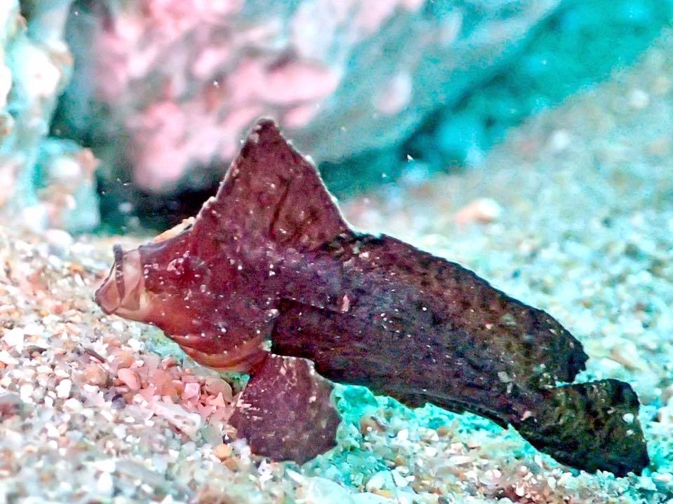 e0115199_14251708.jpg